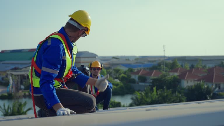 Best Steel Roofing  in Home Garden, CA